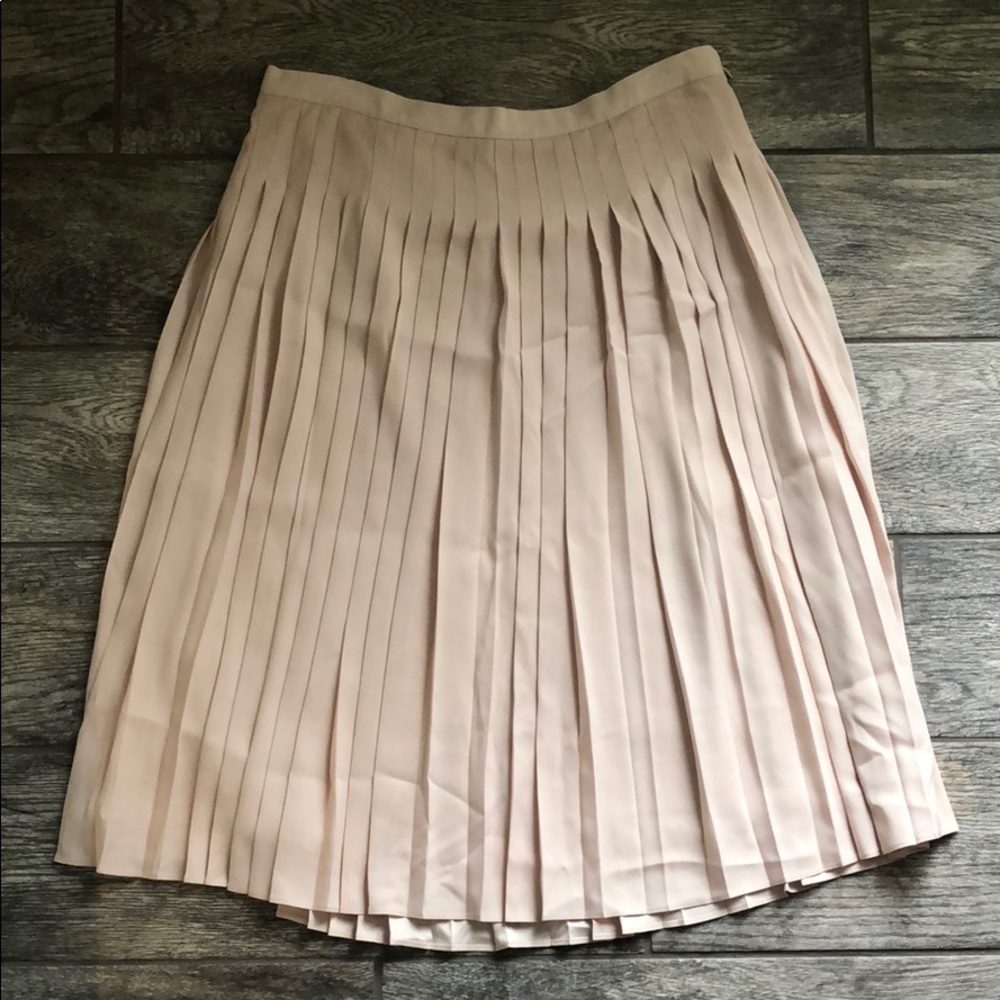 Ann Taylor Pleated Skirt